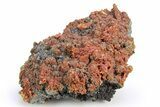 Deep Red Orpiment Over Pyrite - Peru #260129-1